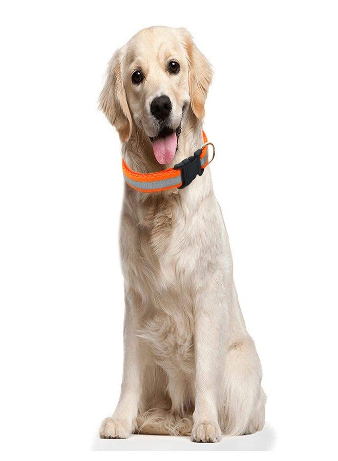 ويستيرن إرا طوق عاكس للكلاب من ويسترن إيرا، مصنوع من قماش النايلون، مرن، فائق النعومة، عالي الكثافة، لطيف على الحيوانات الأليفة ولا يسبب تهيجًا، يتيح اللعب بحرية وراحة. - Image 4